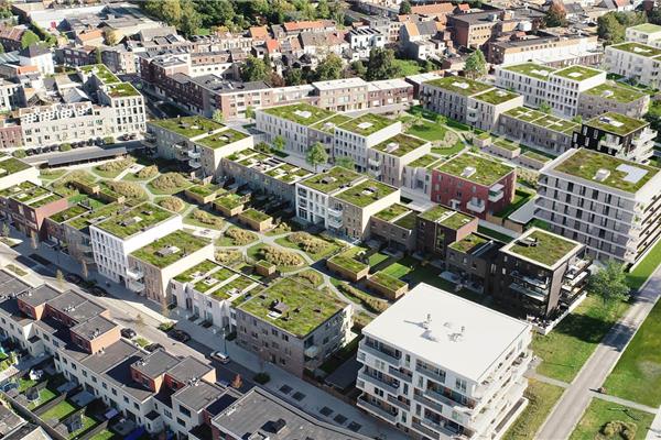 Groen Zuid - Stabiliteitsstudie Concreet BV